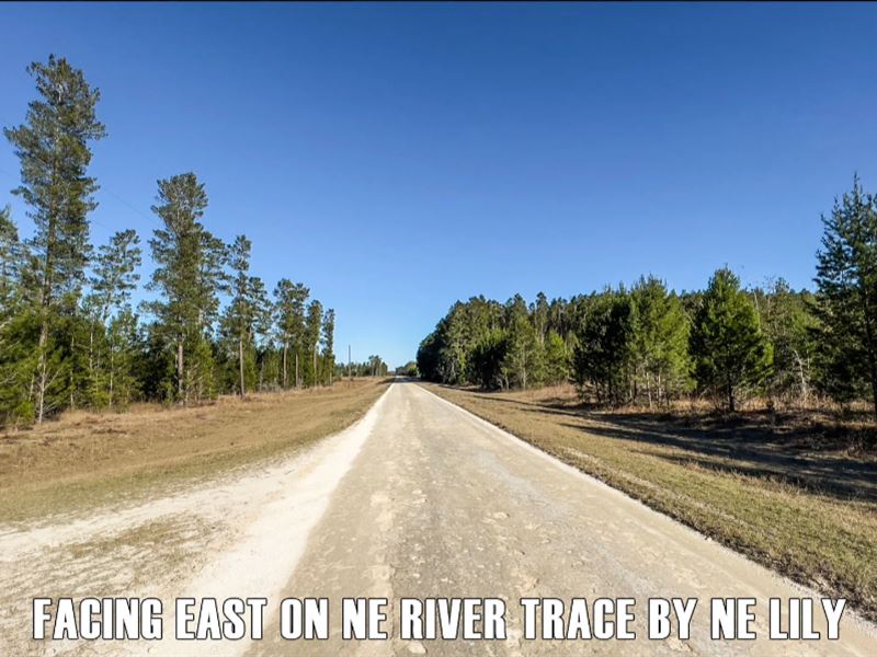 Owner Finance, 5 Acres Quiet County : Lee : Madison County : Florida