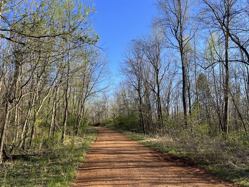 Russellville Tract : Russellville : Franklin County : Alabama