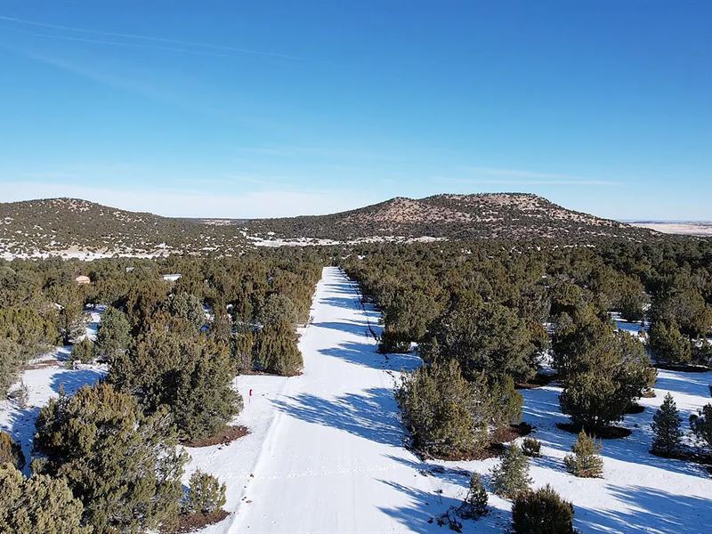 RV Friendly Lot Near Highway : Vernon : Apache County : Arizona
