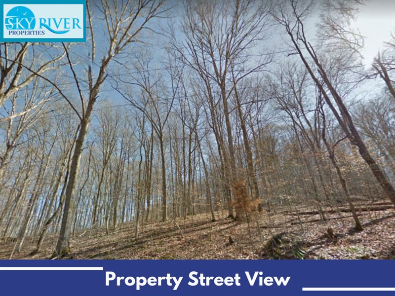 1.56 Acres on Stiner Shores Rd, TN : Sharps Chapel : Union County : Tennessee
