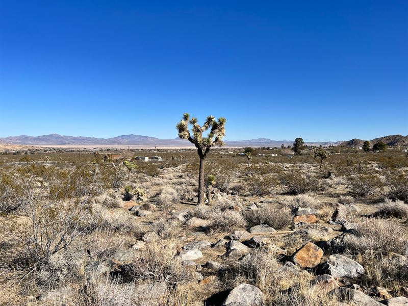 Get Into The California Mountains : Lucerne Valley : San Bernardino County : California