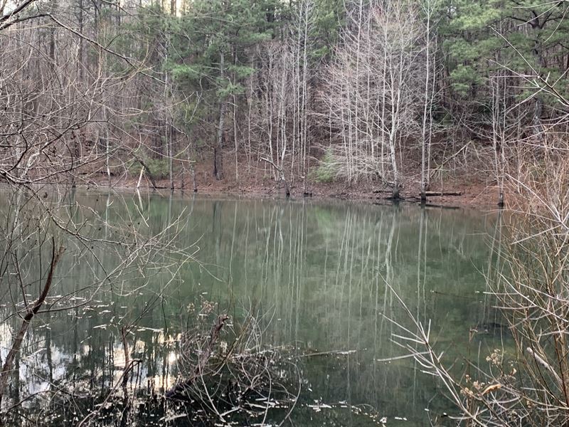 Souls Chapel 125 : Blountsville : Blount County : Alabama