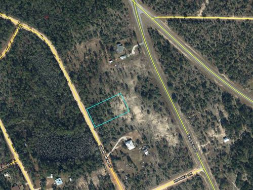 Equestrian Friendly Lake Community : Alford : Jackson County : Florida