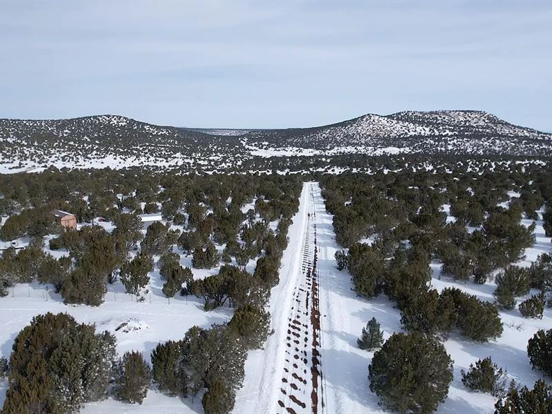 RV Friendly Lot with Mountain Views : Vernon : Apache County : Arizona