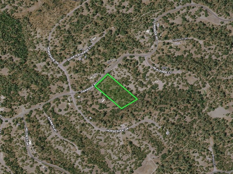 Motivated Seller, Must Sell Asap : Corning : Tehama County : California