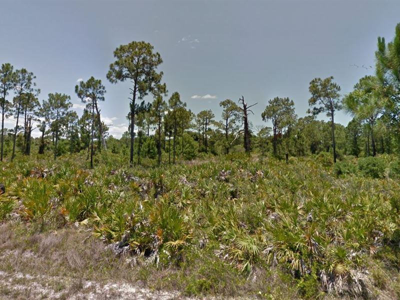 Forget All Your Troubles, 0.55 Acre : Punta Gorda : Charlotte County : Florida