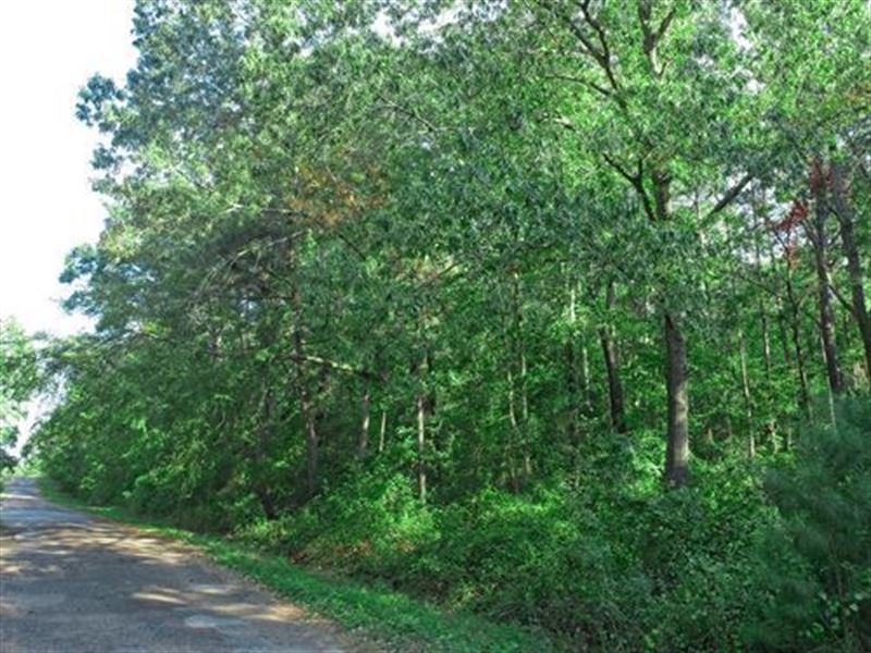 $136/Mo Lot in Quiet Subdivision : Harleton : Harrison County : Texas