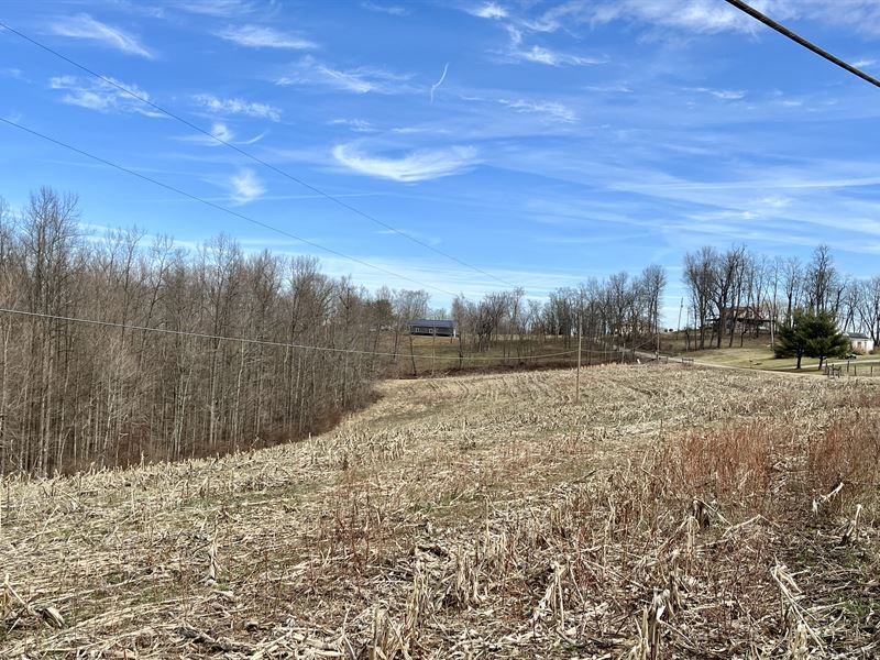 Ohio Recreational Land for Sale : Warsaw : Coshocton County : Ohio
