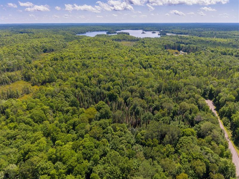 Wooded Lot : Presque Isle : Vilas County : Wisconsin