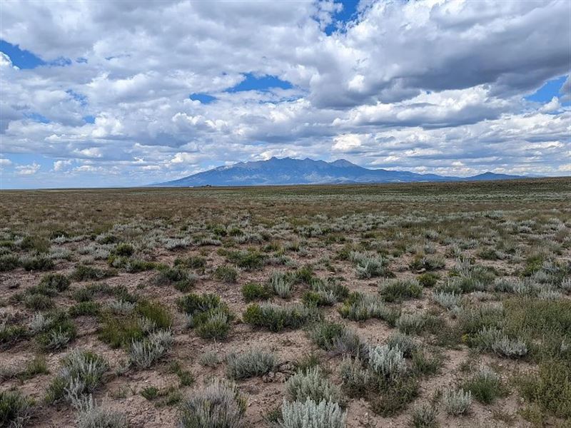 5 Acre Mountain View for $149/Month : Blanca : Costilla County : Colorado