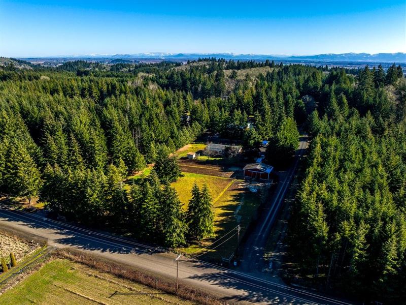 Monroe Horse Property : Monroe : Benton County : Oregon