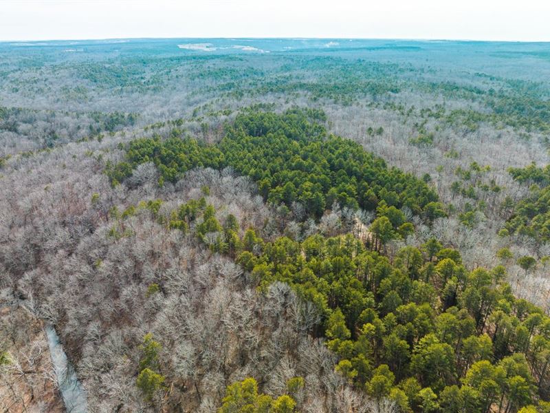 Paddlewheel Springs-Tract 15 : Roby : Texas County : Missouri