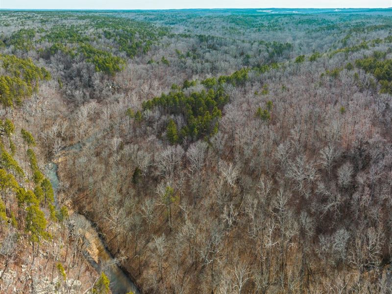 Paddlewheel Springs, Tract 17 : Roby : Texas County : Missouri