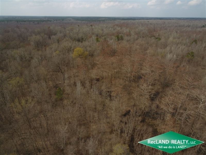 40 Ac, Bottomland Hunting Tract : Grayson : Caldwell Parish : Louisiana