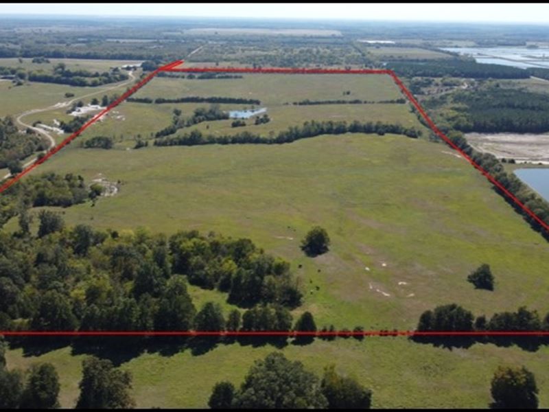 120 Acres in Sumter County in Emell : Emelle : Sumter County : Alabama