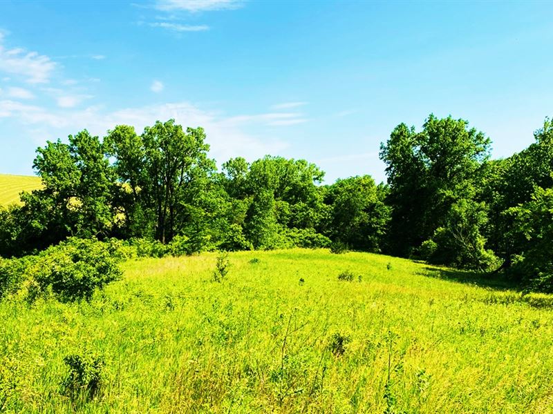 A Good Time on 0.31 Acre in AR : Bella Vista : Benton County : Arkansas