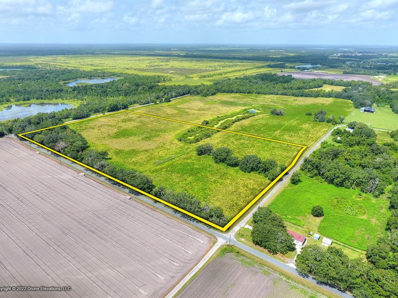 Smith Ryals Road 21 Acres : Plant City : Hillsborough County : Florida