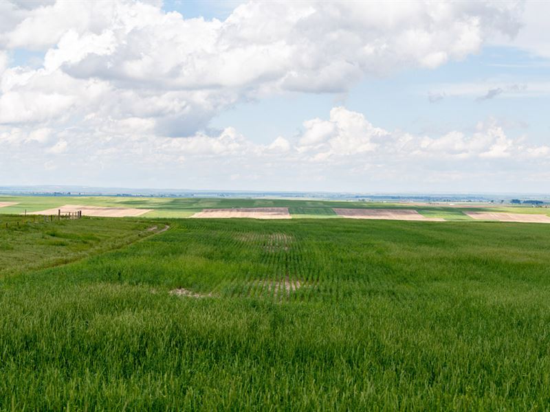 Hawk Springs Reservoir Pasture : Hawk Springs : Goshen County : Wyoming