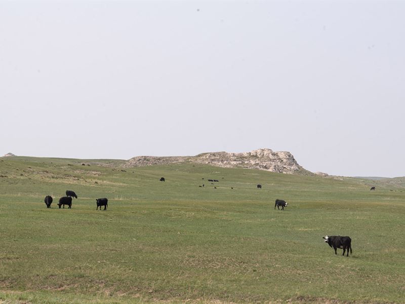 Spoon Buttes Ranch West Parcel : Torrington : Goshen County : Wyoming