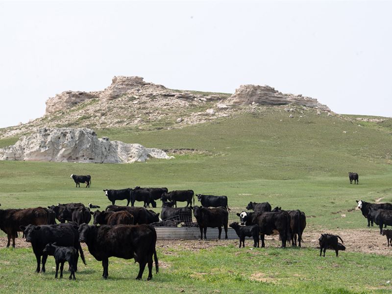Spoon Buttes Ranch : Torrington : Goshen County : Wyoming