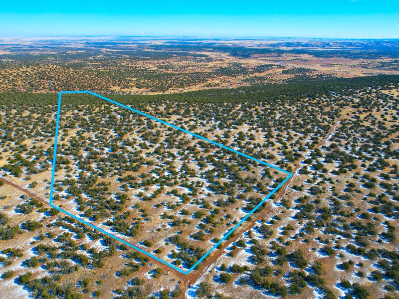 Non-Stop Adventure Awaits : Concho : Apache County : Arizona
