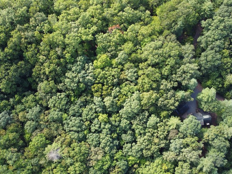 Treed Lot with Awesome Nature View : Murphy : Cherokee County : North Carolina