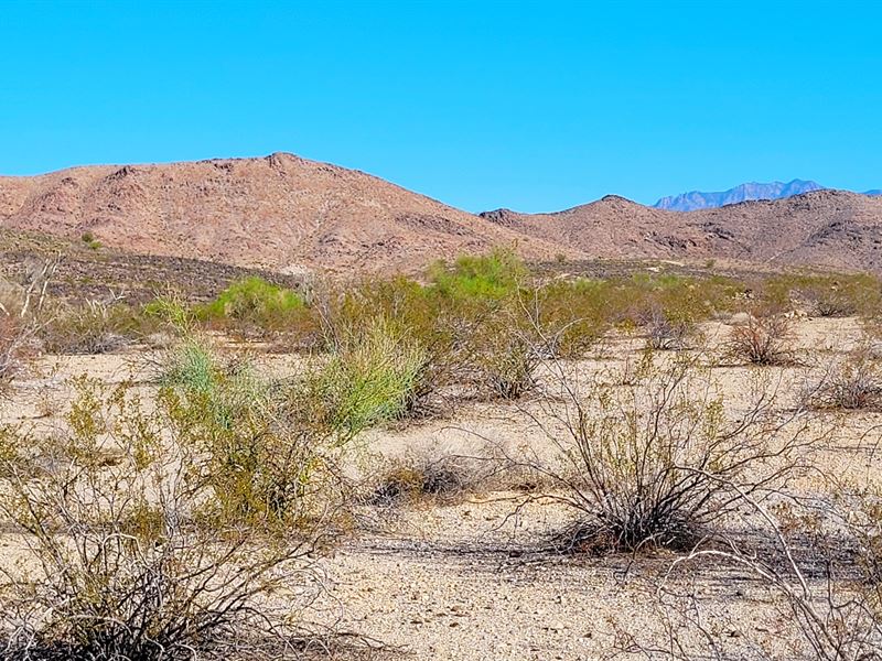 1.02 Acre Lot in Golden Valley, AZ : Yucca : Mohave County : Arizona