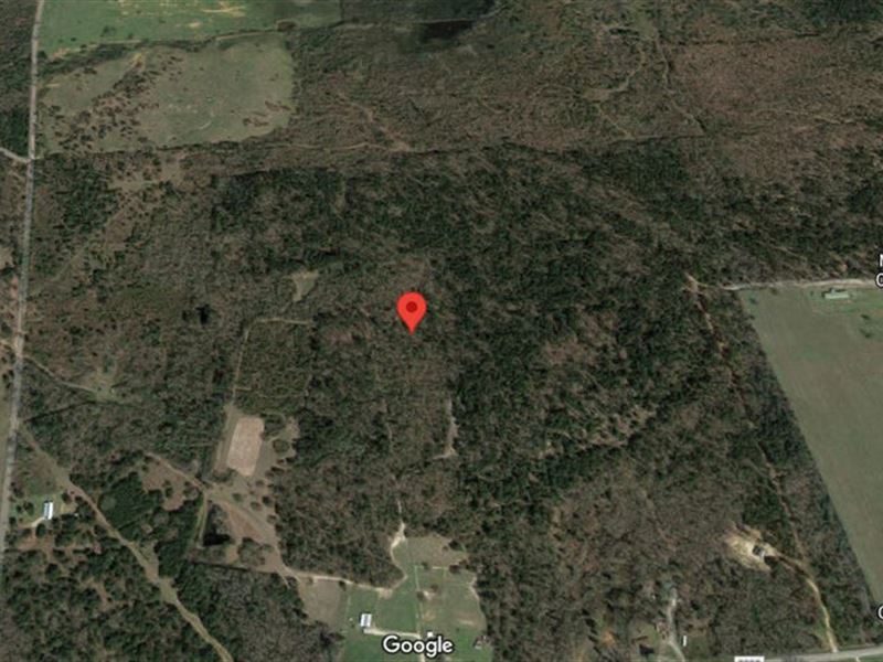 Private Weekend Recreation Lot : Pittsburg : Upshur County : Texas