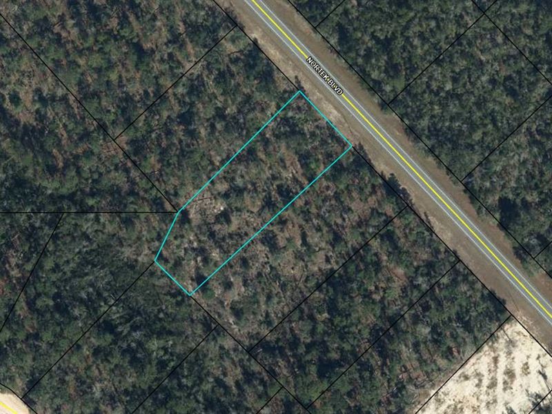 Large Lot on Paved Road : Marianna : Jackson County : Florida