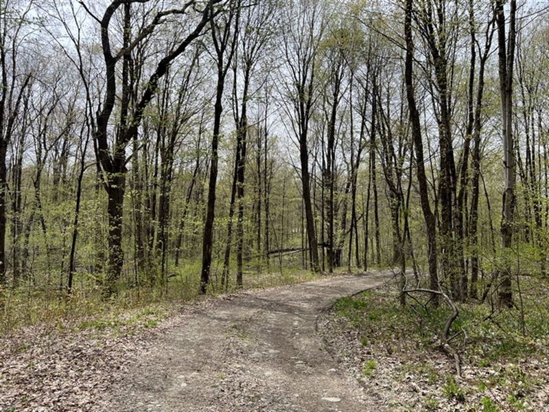 Near Salmon River : Williamstown : Oswego County : New York
