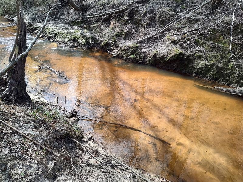 Almeria Flat Creek : Almeria : Bullock County : Alabama