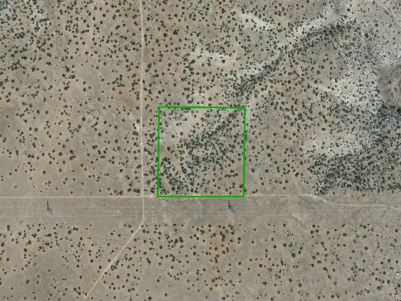 10 Acres of Privacy To Live or Play : Heber : Navajo County : Arizona