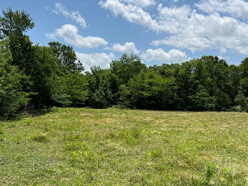 Beautifully Forested Private Lot : Sulphur Springs : Hopkins County : Texas