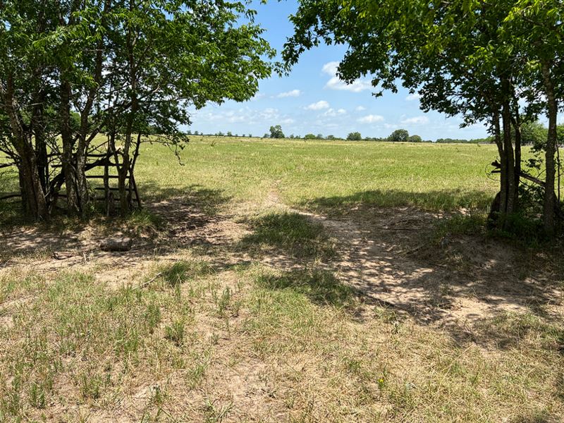 Unique Boundary, Pond in The Back : Sulphur Springs : Hopkins County : Texas