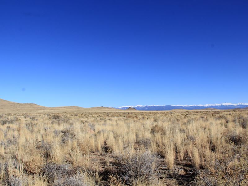 Smartest Move is to Own This CO Lot : Blanca : Costilla County : Colorado