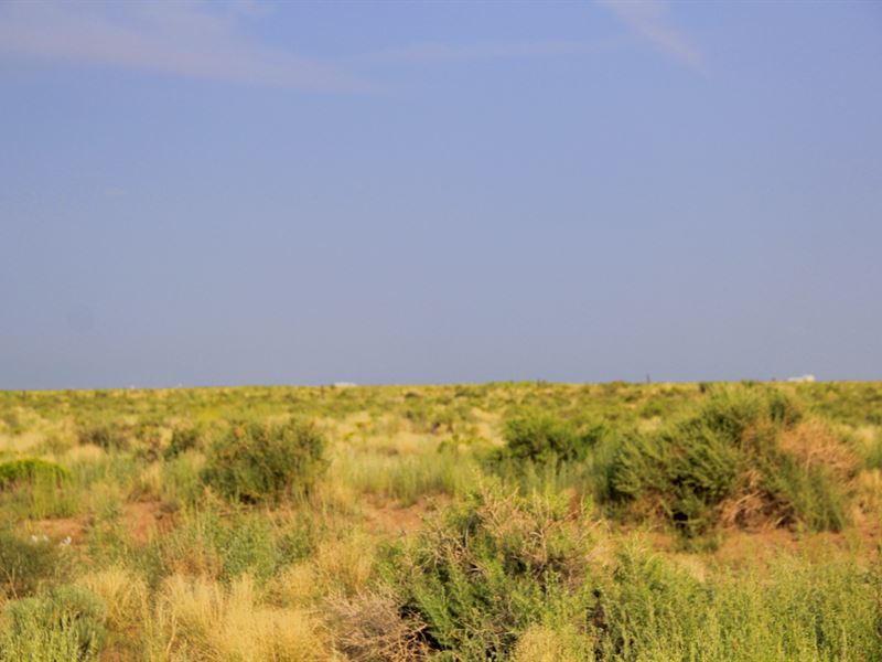 Unwind, De-Stress in Co Mountains : Blanca : Costilla County : Colorado