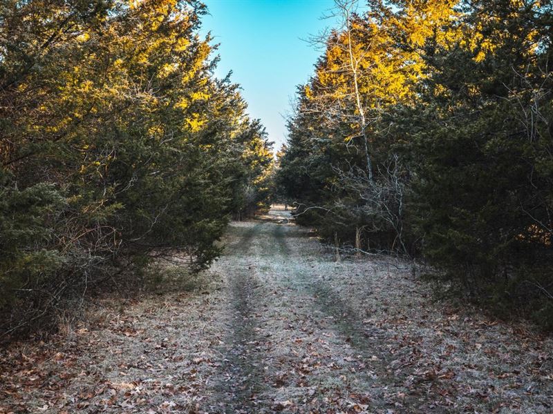 Wildcat Hunter's Haven : Bland : Gasconade County : Missouri
