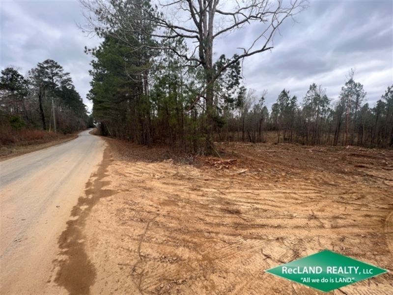 6.9 Ac, Wooded Tract for Home Site : Point : Union Parish : Louisiana