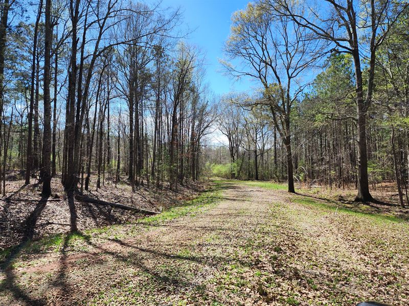 Small Southern Town Living : Hamilton : Harris County : Georgia