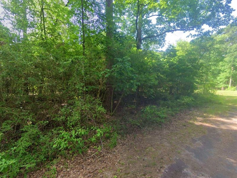 .15 Acre in Livingston, $200/Mo : Livingston : Polk County : Texas