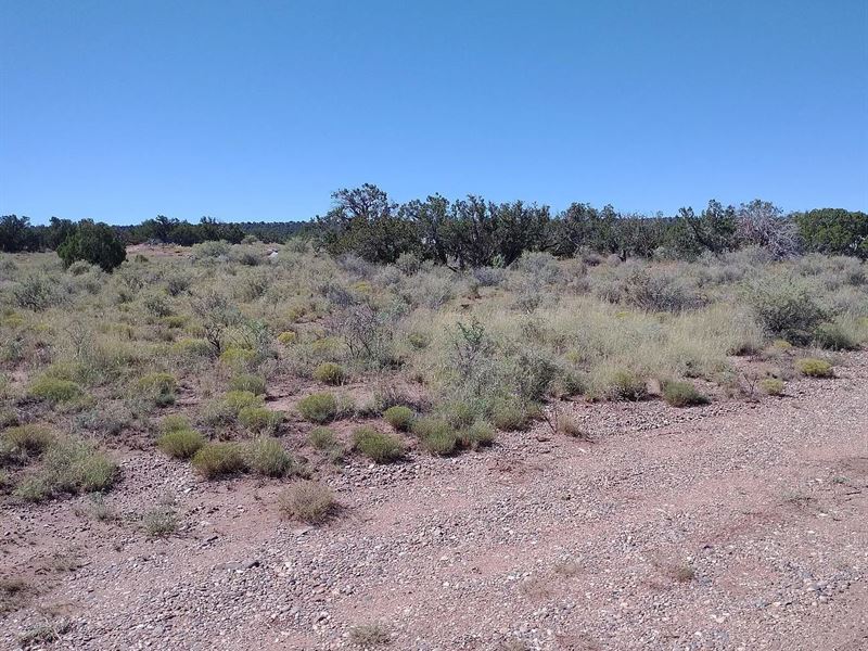 Invest in Your Future, 1.22 Acres : Snowflake : Navajo County : Arizona