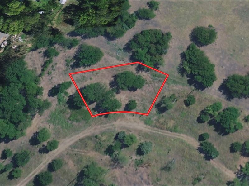 Beautiful Lot with Great Lake View : Lone Oak : Hunt County : Texas
