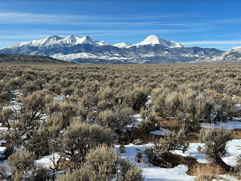Picturesque Views of Mount Blanca : Fort Garland : Costilla County : Colorado