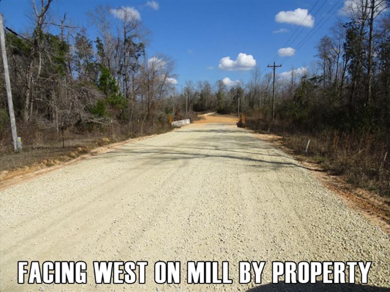 Owner Finance $7,900, Mobiles Okay : Alford : Jackson County : Florida