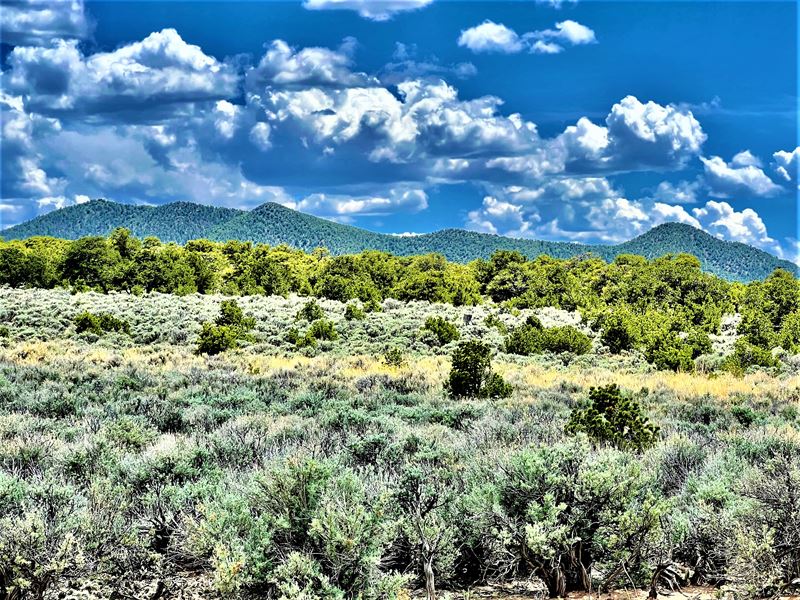 Amazing Lot with Views and Wildlife : Fort Garland : Costilla County : Colorado