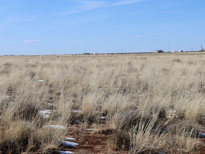 1.25 Acre Vacant Lot in Sun Valley : Holbrook : Navajo County : Arizona