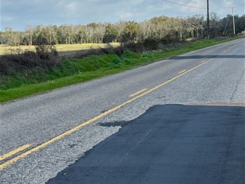 20 Acres of Cleared Farmland : Gordon : Houston County : Alabama