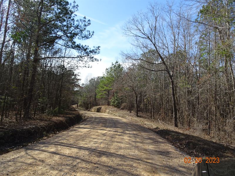 McCullough Road Property Tract B : Gordon : Wilkinson County : Georgia