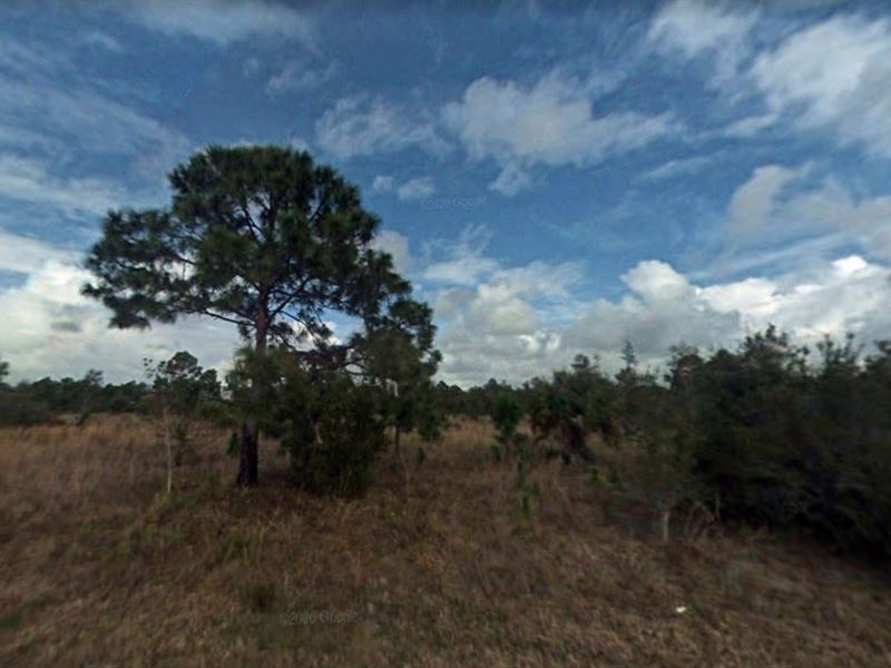 A Playground for Adventure Seekers : Punta Gorda : Charlotte County : Florida