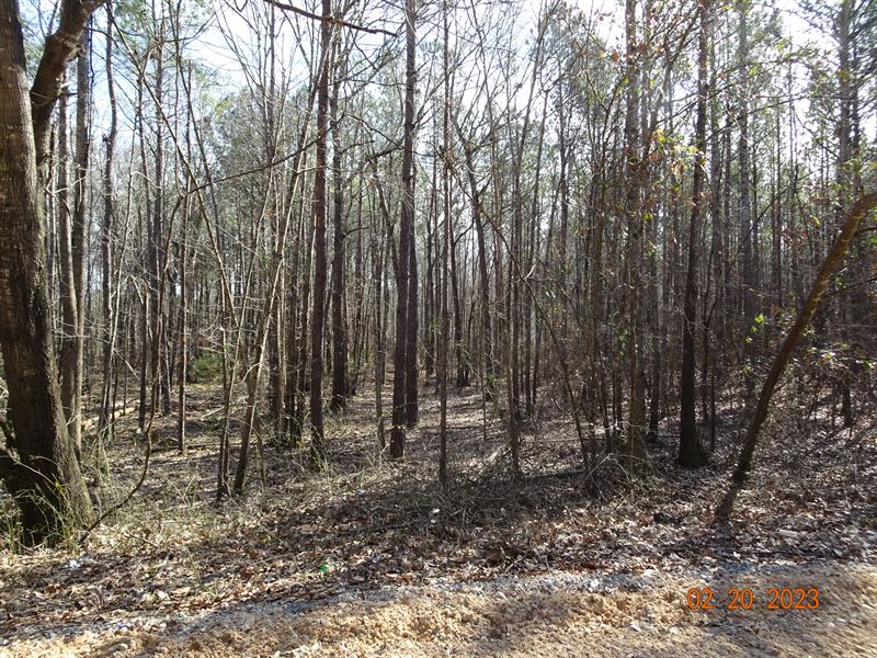 McCullogh Road Tract D, 6.31 Acres : Gordon : Wilkinson County : Georgia